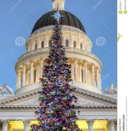 Sacramento Capitol Gets Christmas Holiday Tree!