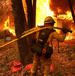 Agencies Fight Over Wild Fire Money!