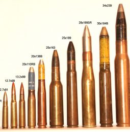 Want to Buy A bullet? Not Easy In CA!