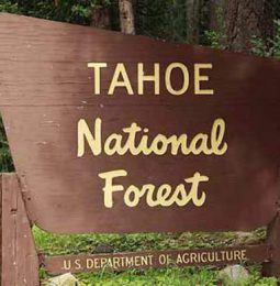 Tahoe National Forest Now With Fire Restrictions!