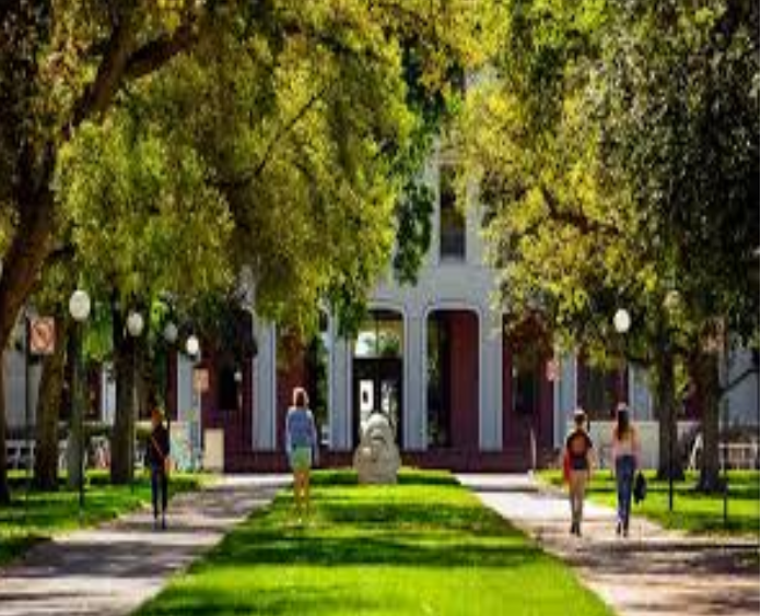 Colleges Start Reopen as Students Start To Move On Campus!