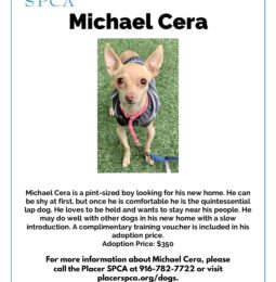 Pet Of The Week – Michael Cera