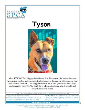 tyson