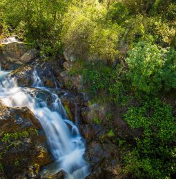 Hidden Falls Regional Park Proposal to Expand