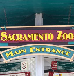 Sac Zoo Looking At Sleep-Train Arena As New Home!