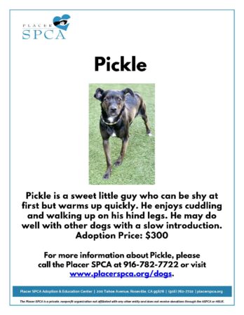 Pickle